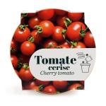 Radis et Capucine - Kit Tomate Cerise Bio - Pot en Terre Cuite Antique - 13 cm - PACKAGING_RECTO